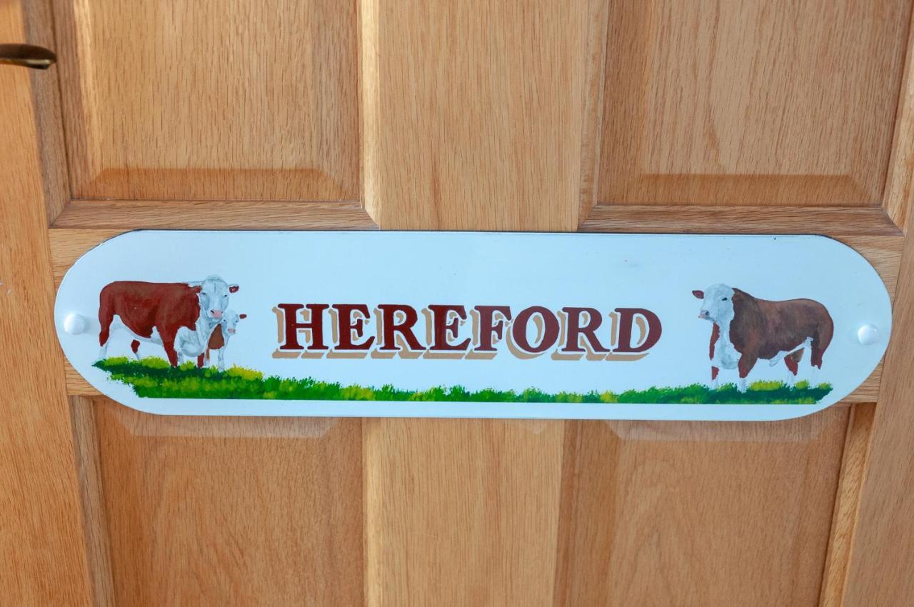 Creeghduff Lodge Downpatrick Eksteriør billede
