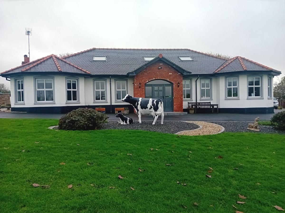 Creeghduff Lodge Downpatrick Eksteriør billede