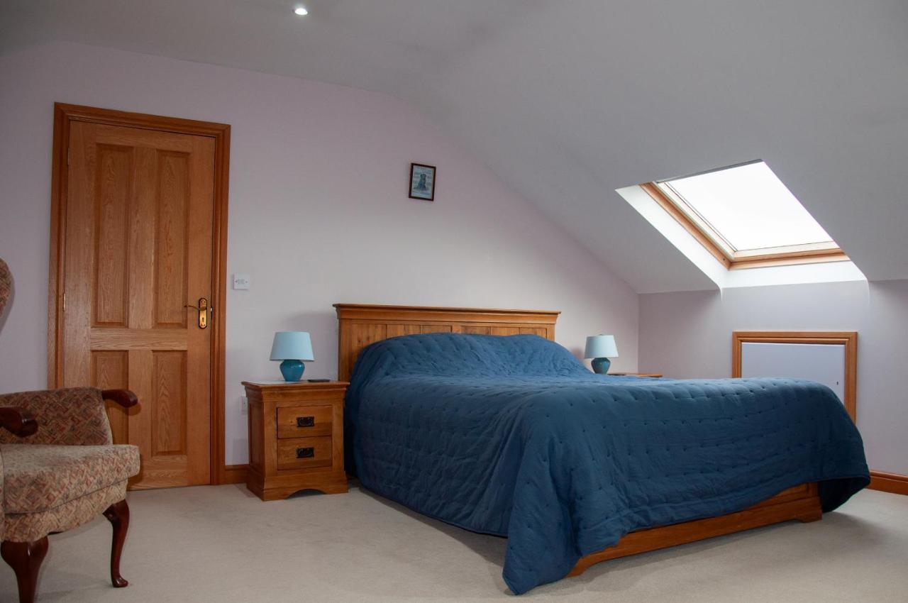Creeghduff Lodge Downpatrick Eksteriør billede